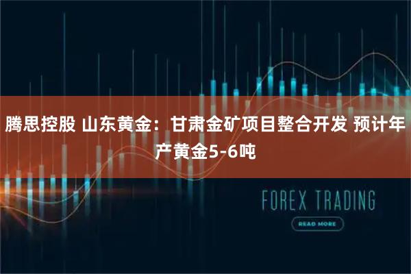 腾思控股 山东黄金：甘肃金矿项目整合开发 预计年产黄金5-6吨
