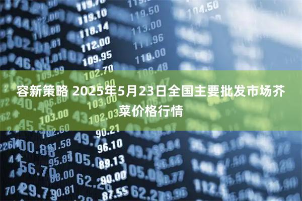 容新策略 2025年5月23日全国主要批发市场芥菜价格行情