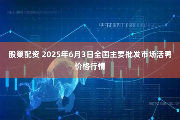 股巢配资 2025年6月3日全国主要批发市场活鸭价格行情