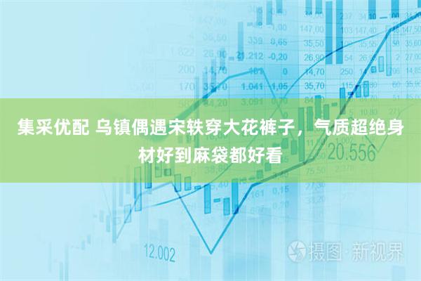 集采优配 乌镇偶遇宋轶穿大花裤子，气质超绝身材好到麻袋都好看