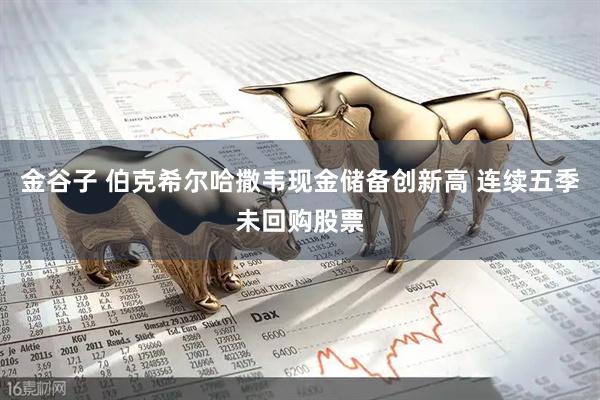 金谷子 伯克希尔哈撒韦现金储备创新高 连续五季未回购股票