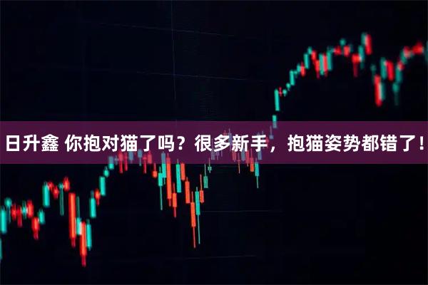 日升鑫 你抱对猫了吗？很多新手，抱猫姿势都错了！